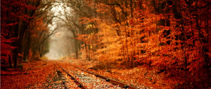 Nejen v Jeseníkách vlaky kloužou po spadaných listech 